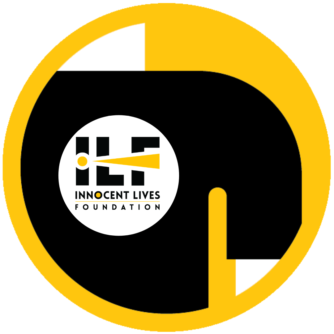 ILF Gear Icon