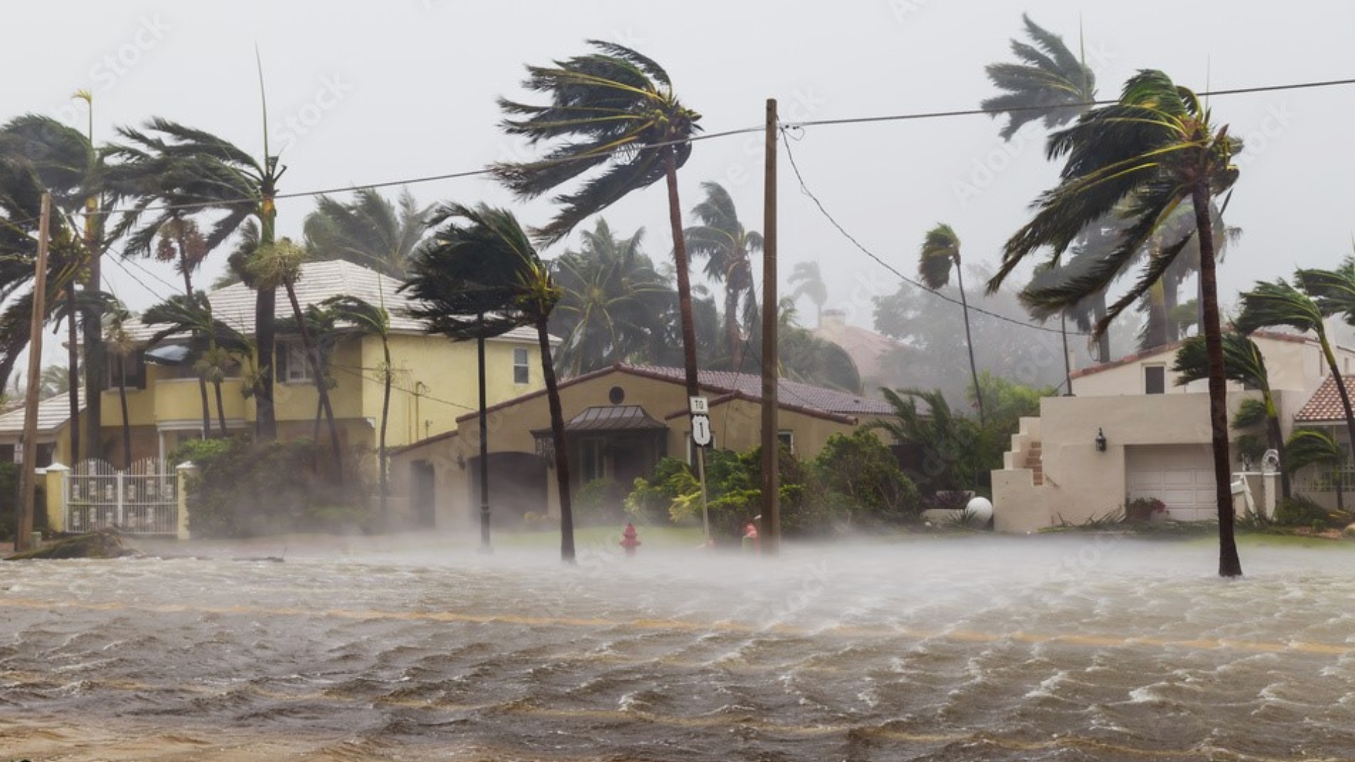 After the Storm: Train yourself on Post-Disaster Scams